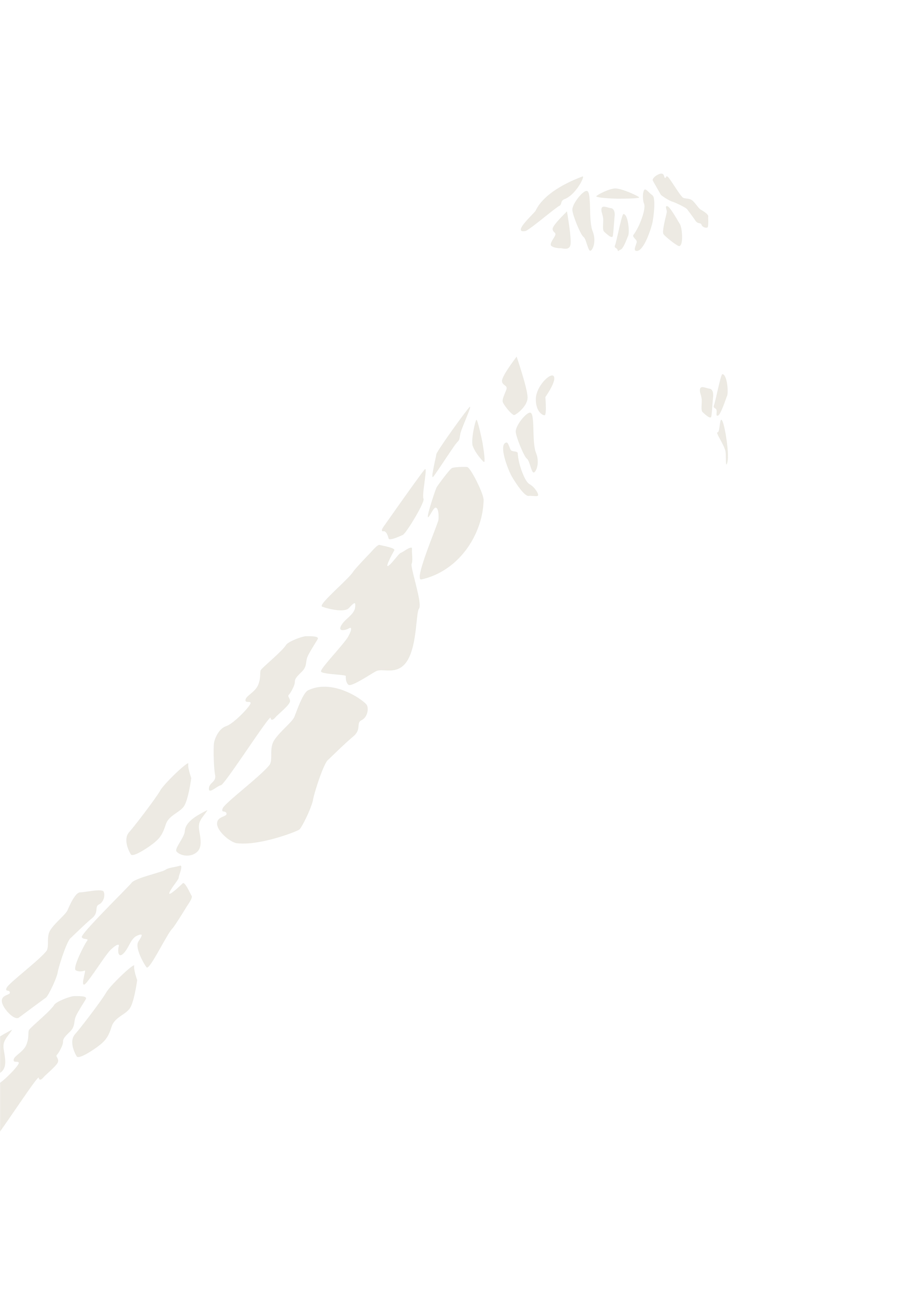 White Giraffe